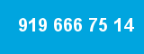 919 666 75 14